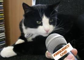 The Frequencycast Cat