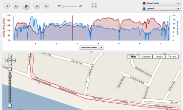 Garmin Connect - Your resukts on a PC